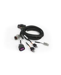 FAISCEAU D’EXTENSION I/O HALTECH NEXUS PLUG-IN 2.5M - HALTECH