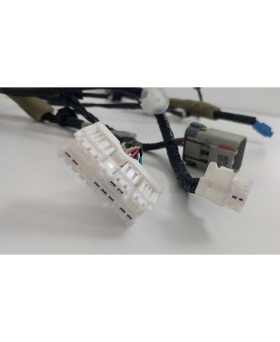 OCC-2242-V2