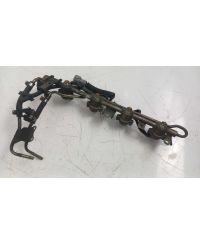 OCC-2436-D4