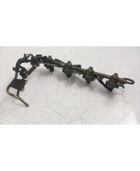 OCC-2436-D4