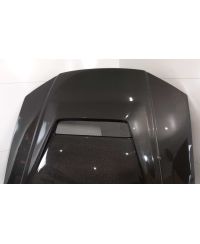 CAPOT STYLE K NISSAN R34 GTT EPR