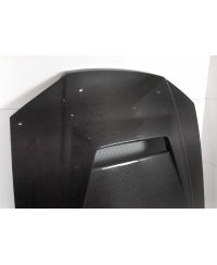 CAPOT STYLE K NISSAN R34 GTT EPR