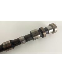 OCC-2482-W1