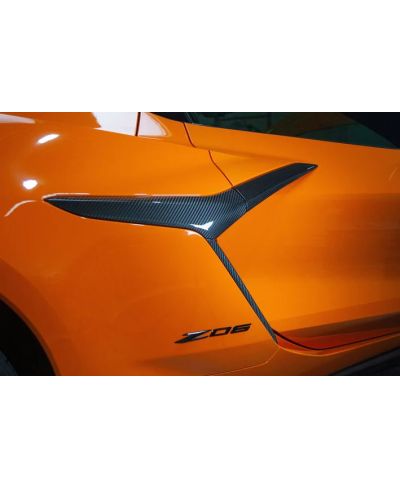 KIT GARNITURE PORTE ET PANNEAUX LATERAUX FIBRES DE CARBONE CHEVROLET CORVETTE C8 - APR PERFORMANCE