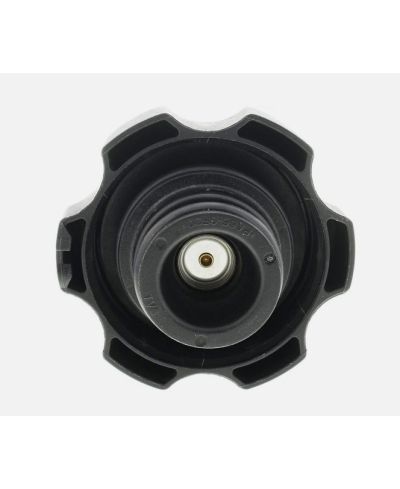 BOUCHON VASE D'EXPENSION RAMGATES