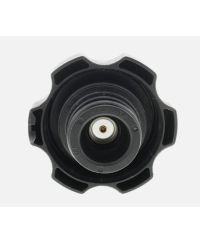 BOUCHON VASE D'EXPENSION RAMGATES