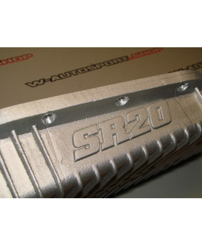 CARTER ANTI DEGEAUGEAGE SR20DET GREDDY