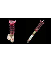 KIT AMORTISSEURS SEULS N1 EVOLUTION NISSAN R34 GT-T - APEXI