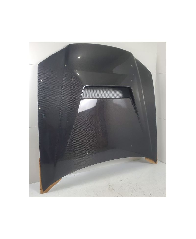 CAPOT TYPE GTR R34 EPR