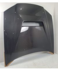 CAPOT TYPE GTR R34 EPR