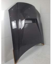 CAPOT TYPE GTR R34 EPR