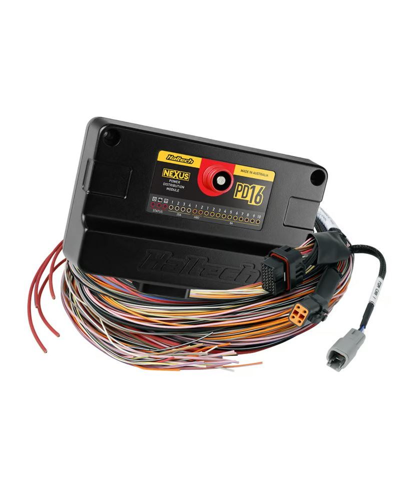 PDM NEXUS PD16 + FAISCEAU 5M - HALTECH