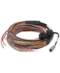 PDM NEXUS PD16 + FAISCEAU 5M - HALTECH