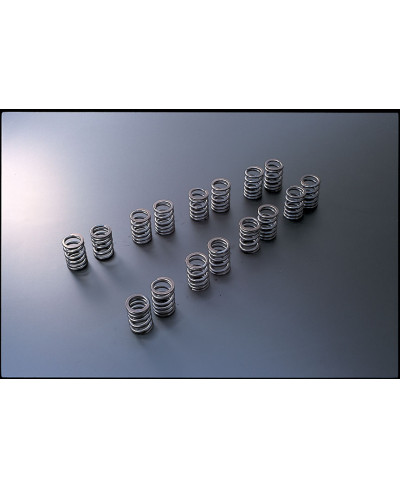 RESSORT DE SOUPAPE CA18DET TOMEI