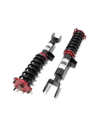 COMBINES FILETES TESLA MODEL 3 (2 ROUES MOTRICES) -VERSUS