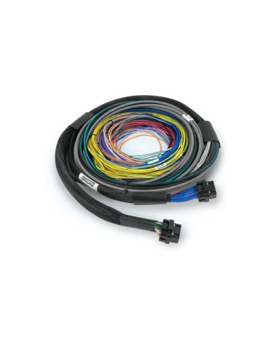 ECU NEXUS S2 + FAISCEAU UNIVERSEL 2.5M - HALTECH