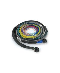 ECU NEXUS S2 + FAISCEAU UNIVERSEL 2.5M - HALTECH