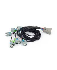 FAISCEAU INJECTEURS EV6 NEXUS REBEL LS - HALTECH