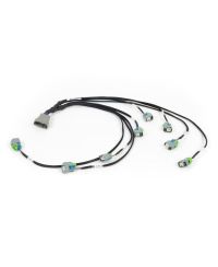 FAISCEAU INJECTEURS EV6 NEXUS REBEL LS - HALTECH