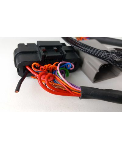 OCC-2825-HA7