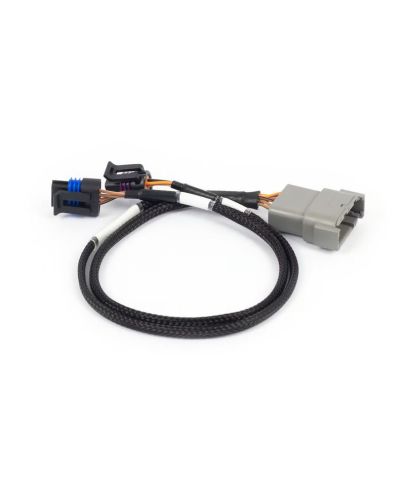 FAISCEAU ADAPTATEUR ACCELERATEUR A CABLE+ IAC NEXUS REBEL LS - HALTECH