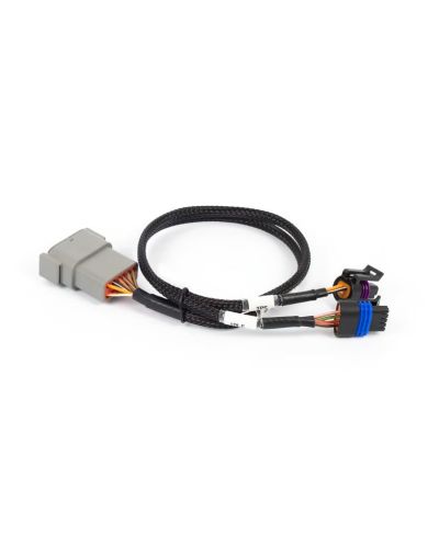 FAISCEAU ADAPTATEUR ACCELERATEUR A CABLE+ IAC NEXUS REBEL LS - HALTECH