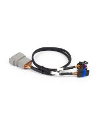 FAISCEAU ADAPTATEUR ACCELERATEUR A CABLE+ IAC NEXUS REBEL LS - HALTECH