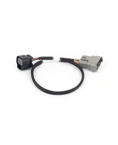 ADAPTATEUR DBW 6 BROCHES NEXUS REBEL LS - HALTECH