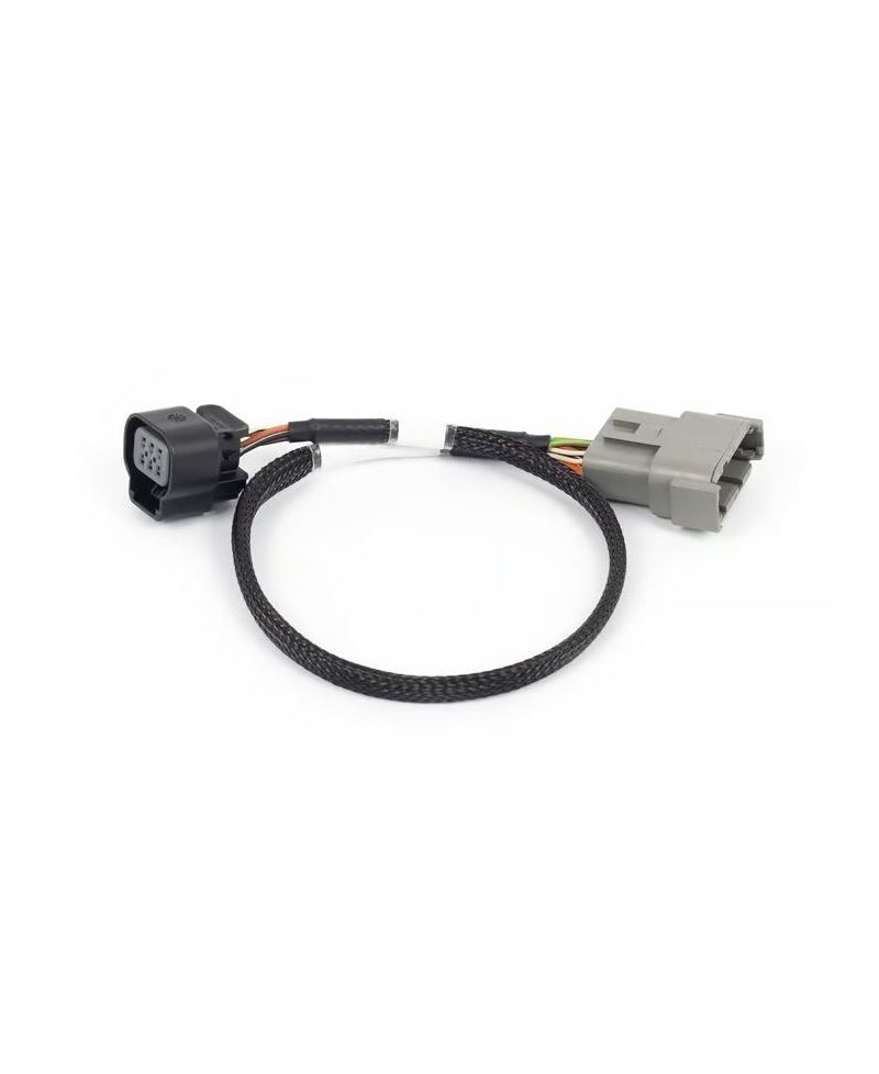 ADAPTATEUR DBW 6 BROCHES NEXUS REBEL LS - HALTECH