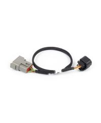 ADAPTATEUR DBW 6 BROCHES NEXUS REBEL LS - HALTECH