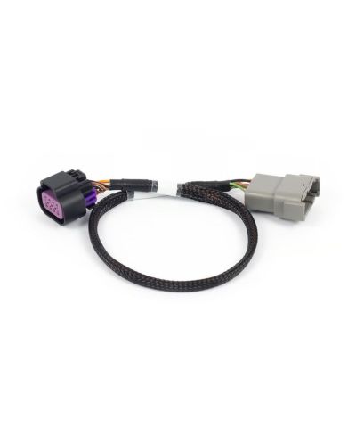 ADAPTATEUR DBW 8 BROCHES NEXUS REBEL LS - HALTECH