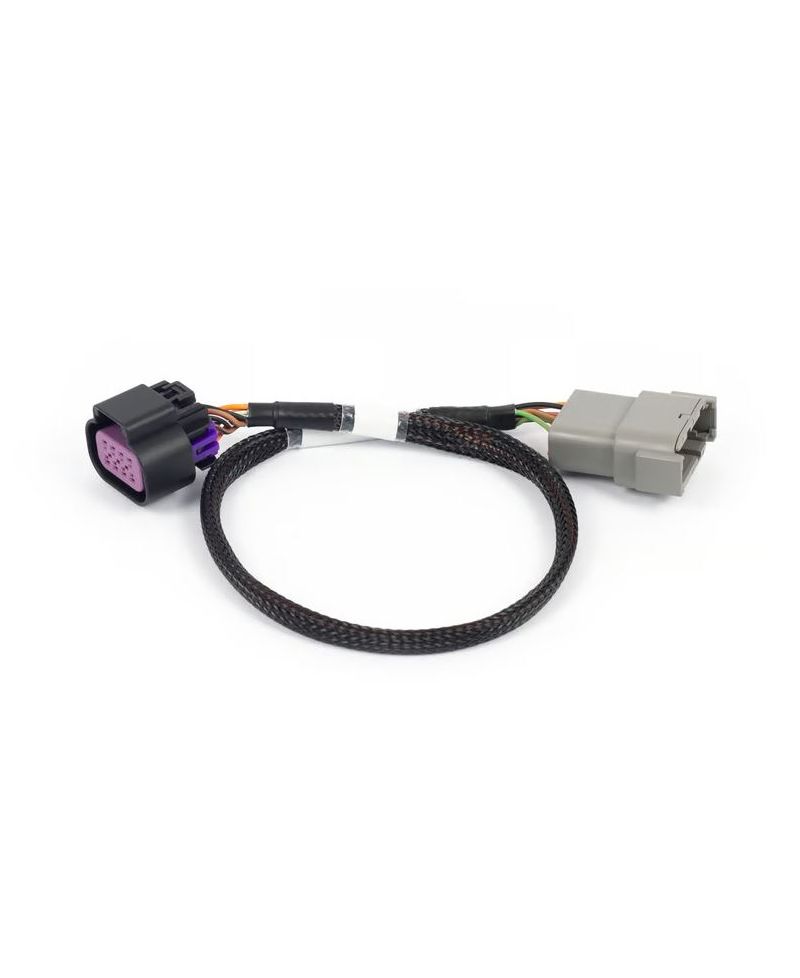 ADAPTATEUR DBW 8 BROCHES NEXUS REBEL LS - HALTECH