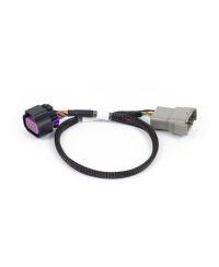 ADAPTATEUR DBW 8 BROCHES NEXUS REBEL LS - HALTECH