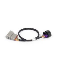 ADAPTATEUR DBW 8 BROCHES NEXUS REBEL LS - HALTECH