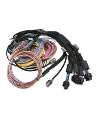 NEXUS R5 VCU & KIT FAISCEAU UNIVERSEL 2.5M - HALTECH