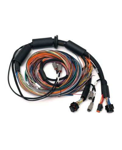 FAISCEAU UNIVERSEL 2.5M NEXUS R3 - HALTECH