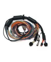 FAISCEAU UNIVERSEL 2.5M NEXUS R3 - HALTECH