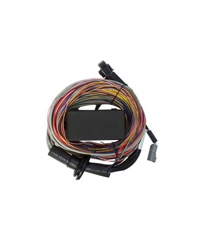 ECU ELITE 550 & FAISCEAU PREMIUM UNIVERSEL 2.5M - HALTECH
