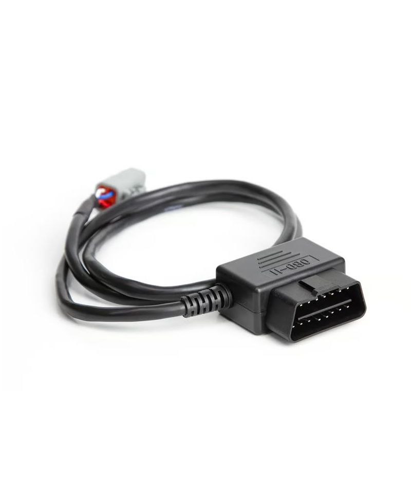 CABLE PROGRAMMATION RADIO FORD MK1 - HALTECH