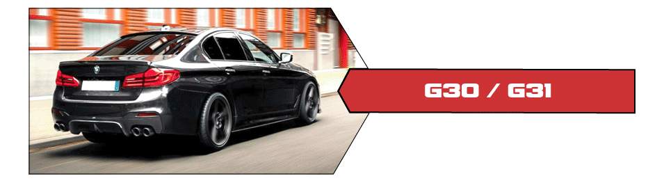 G30 / G31