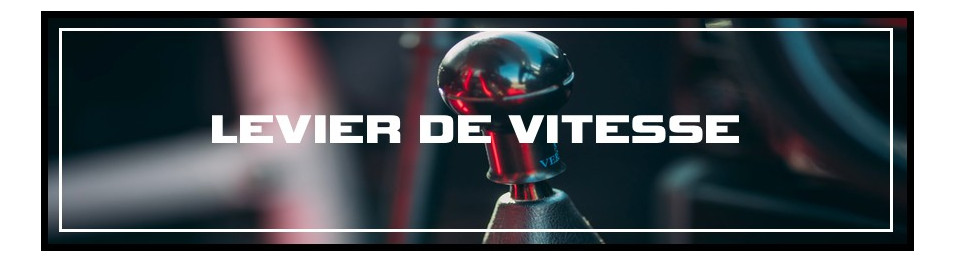 POMMEAU LEVIER DE VITESSE